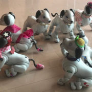 天の丸のaibo「メーテル」と仲間たち