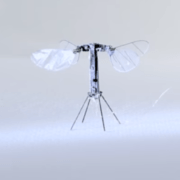 世界最軽量ロボットRoboBeeX-wing