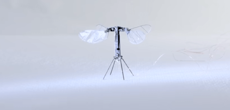 世界最軽量ロボットRoboBeeX-wing