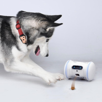 ペット用スマートロボット「VARRAM PET FITNESS（バレム・ペット 